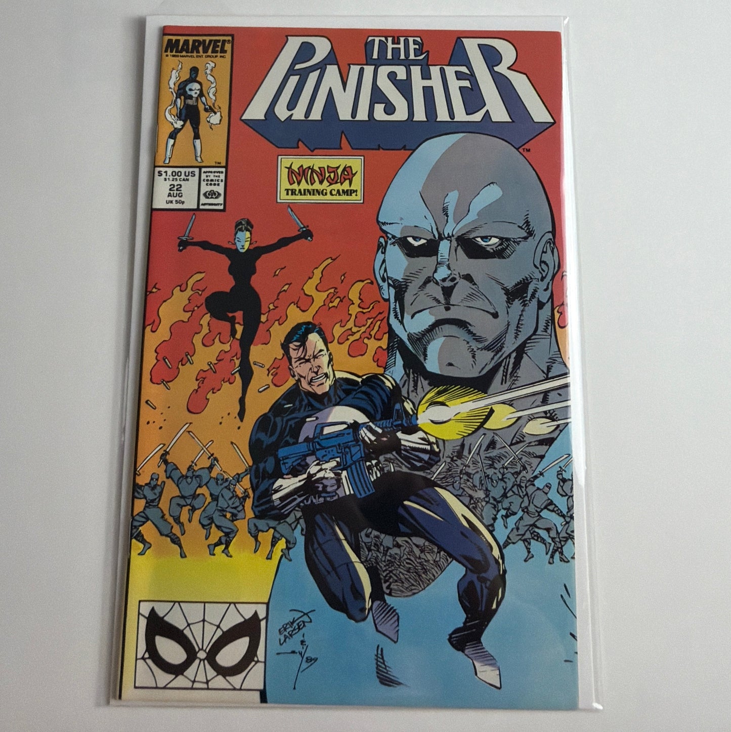 The Punisher #22
