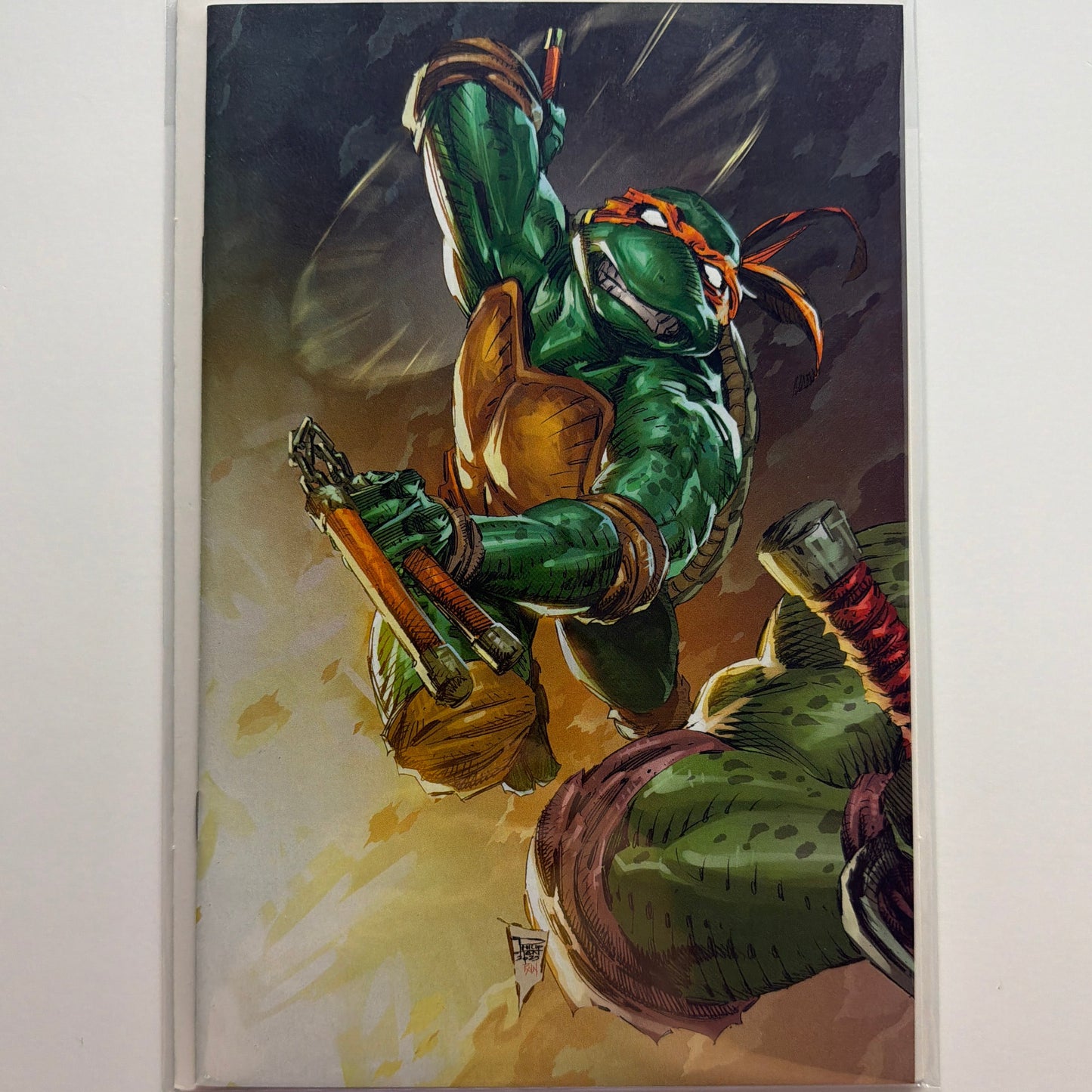 Teenage Mutant Ninja Turtles #8 Virgin Variant (NM)