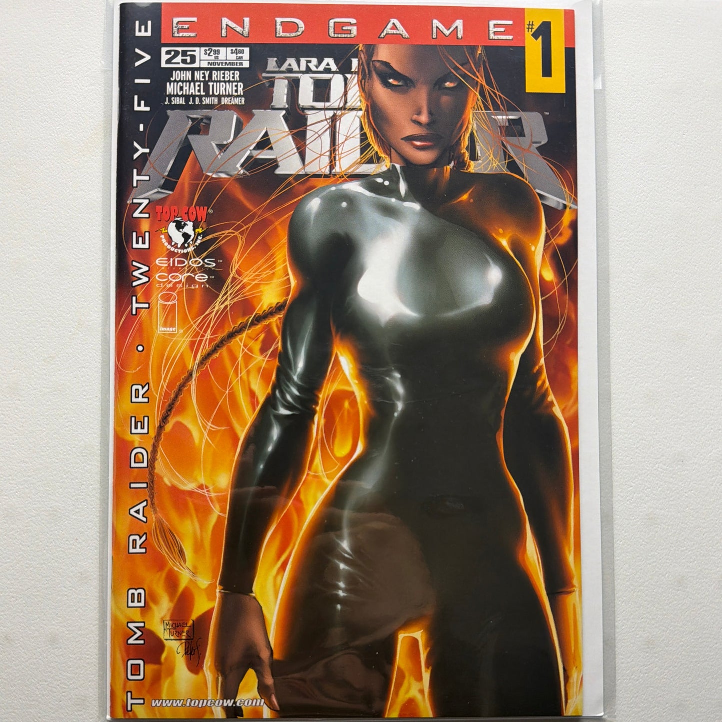 Tomb Raider #25 (NM)