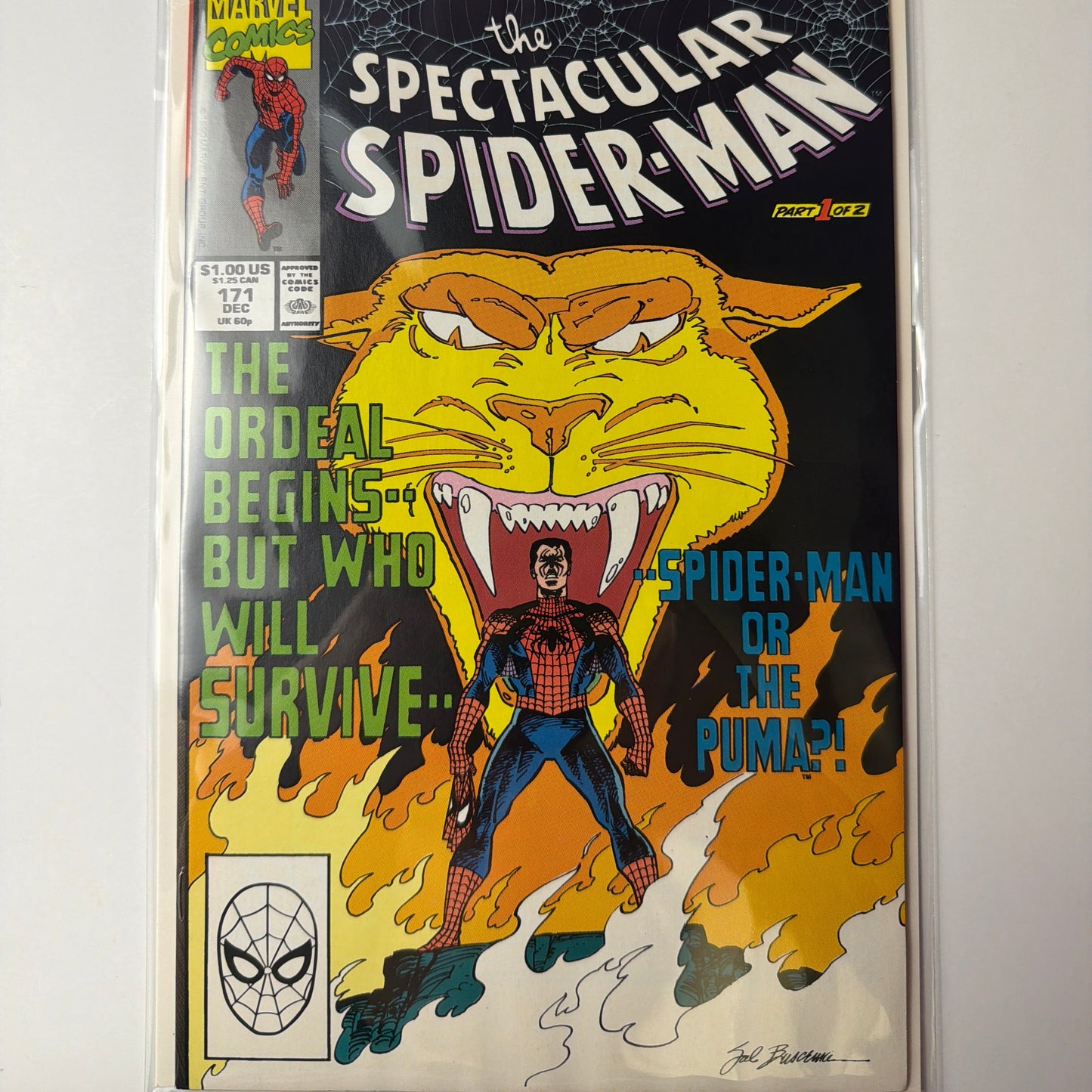 The Spectacular Spider-Man #171