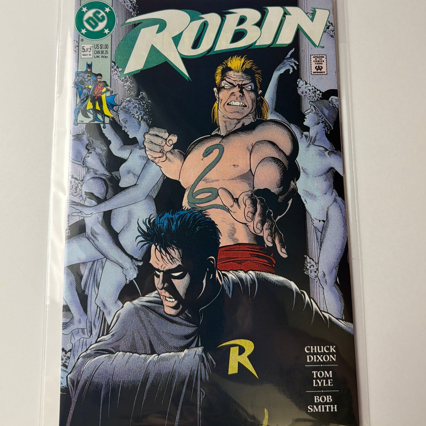 Robin #5