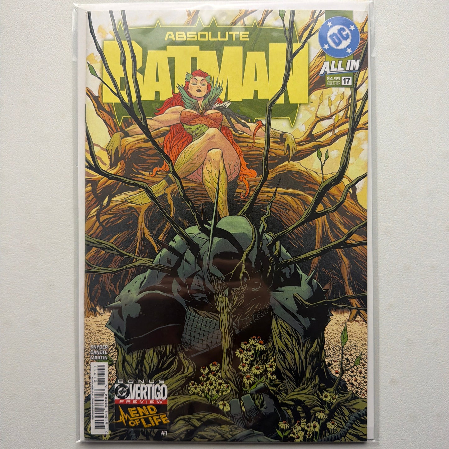 Absolute Batman #17 (NM)