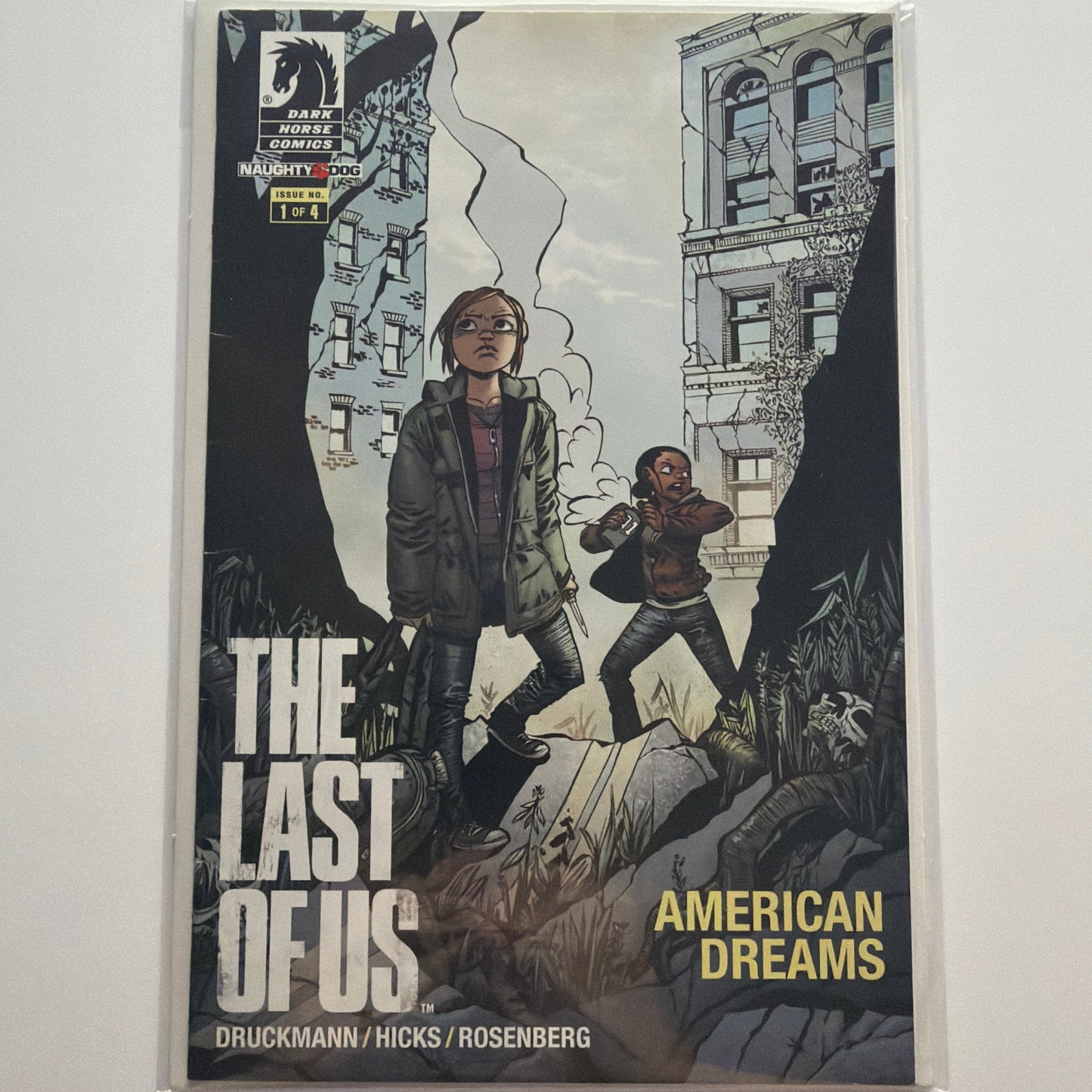 The Last of Us American Dreams #1 (FN/VF)