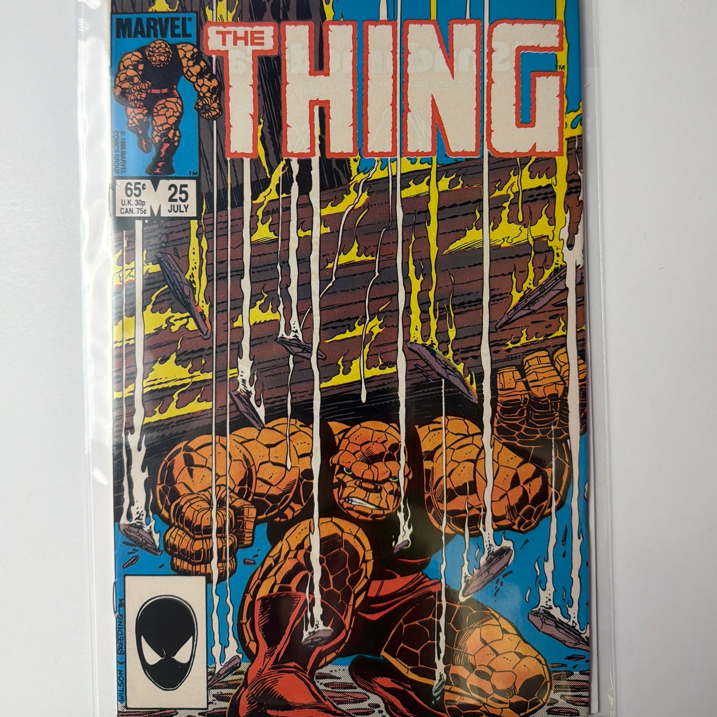 The Thing #25