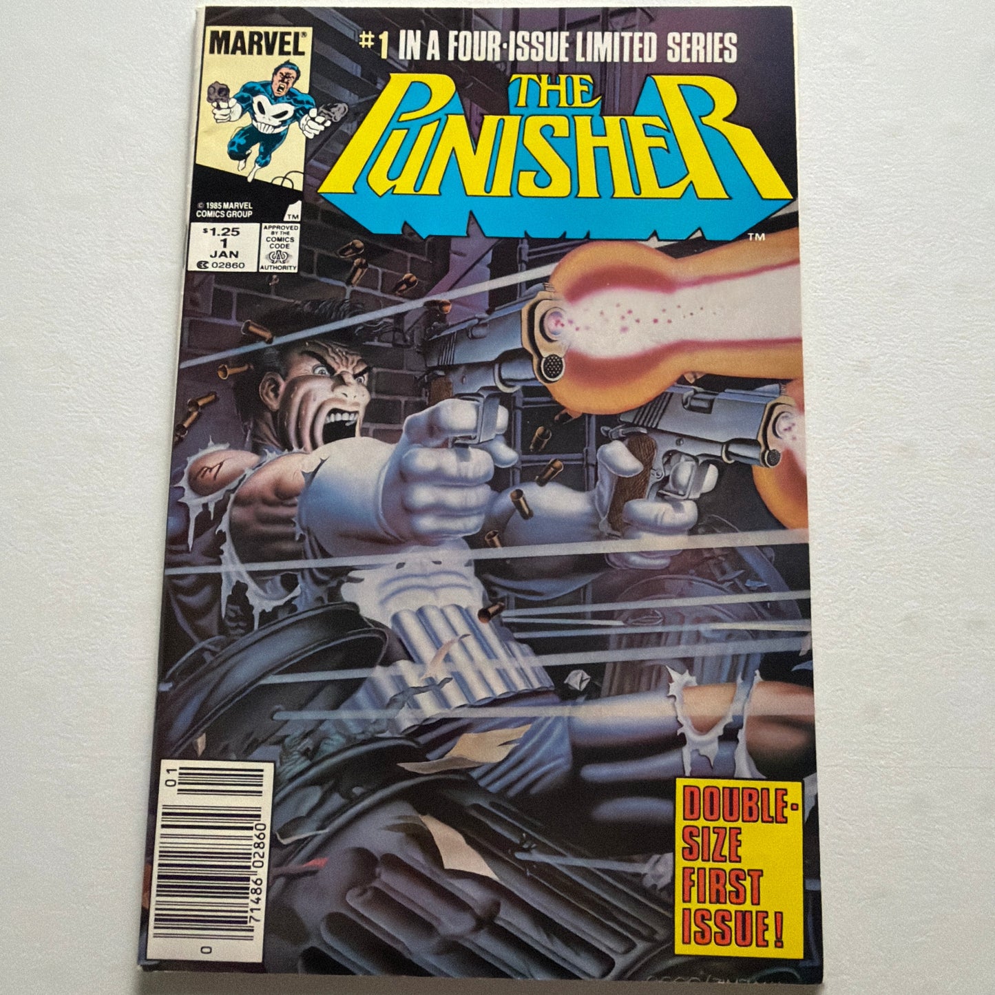 The Punisher #1 (VF)