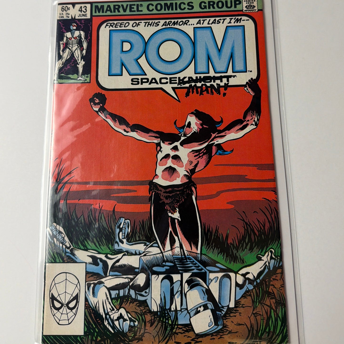 Rom #43
