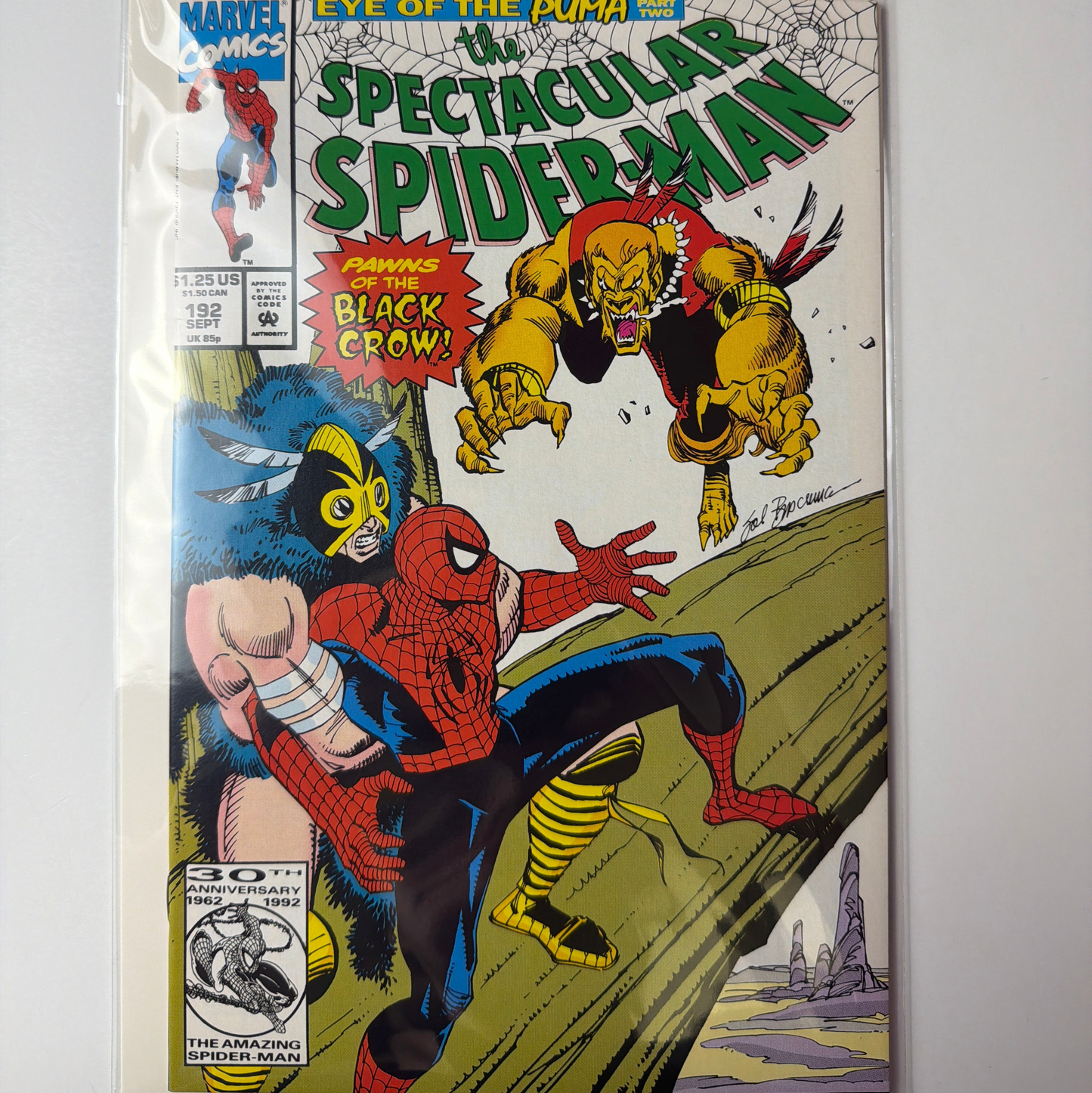 The Spectacular Spider-Man #192