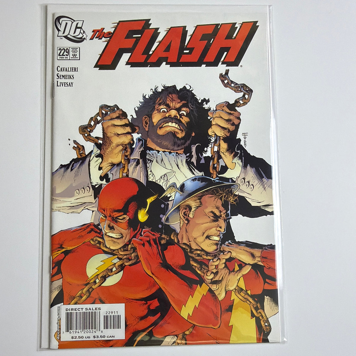 The Flash #229