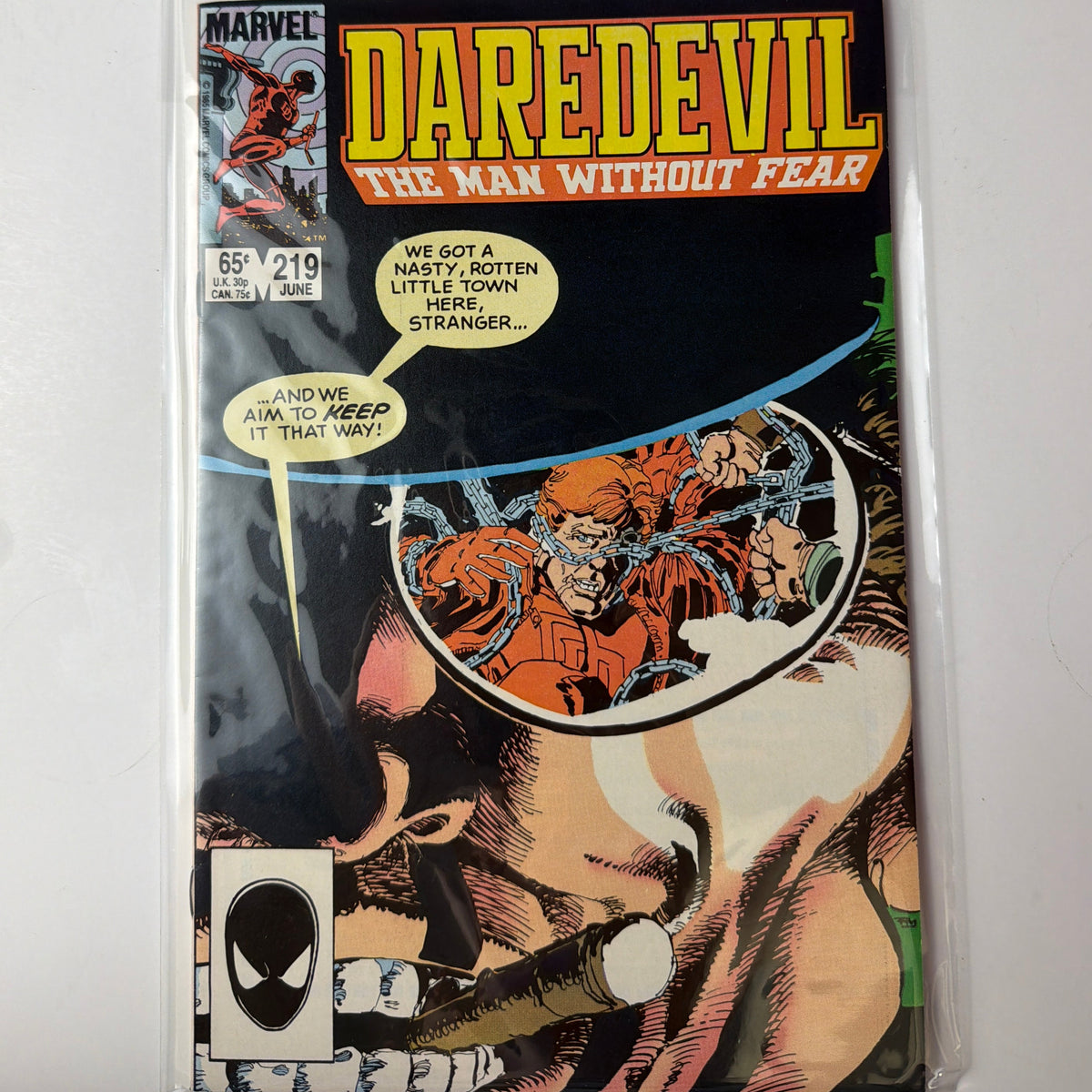 Daredevil The Man Without Fear #219
