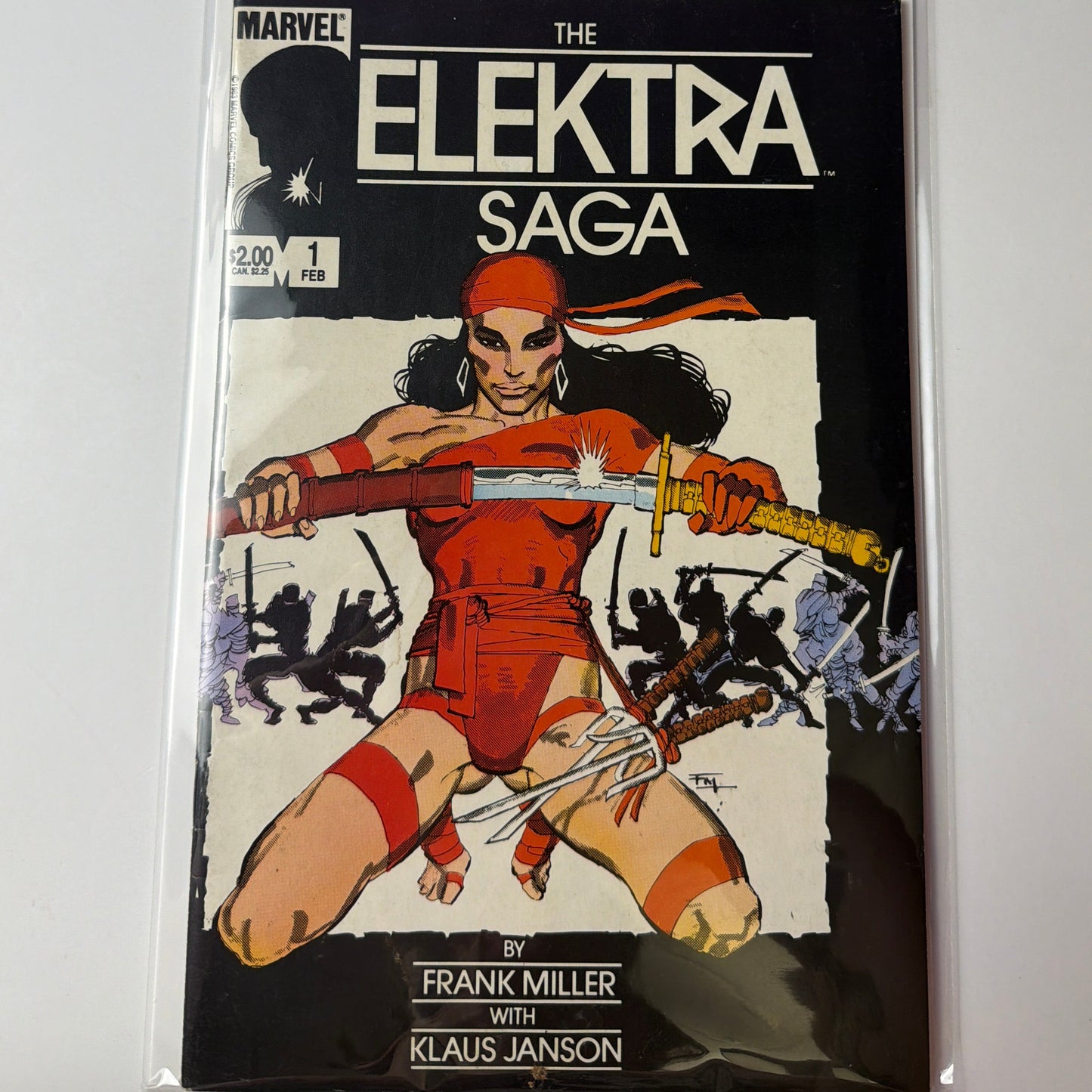 The Elektra Saga #1