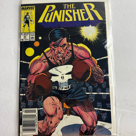 The Punisher #21