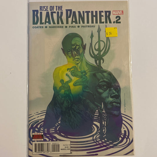 Rise of the Black Panther #2