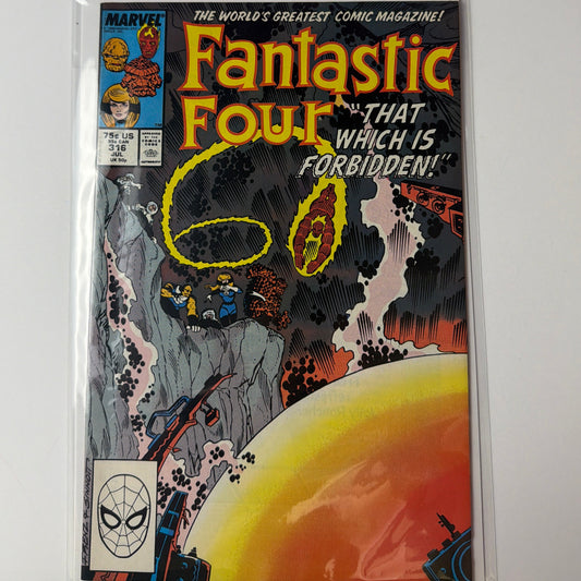 Fantastic Four #316