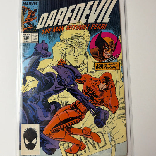 Daredevil The Man without Fear #248