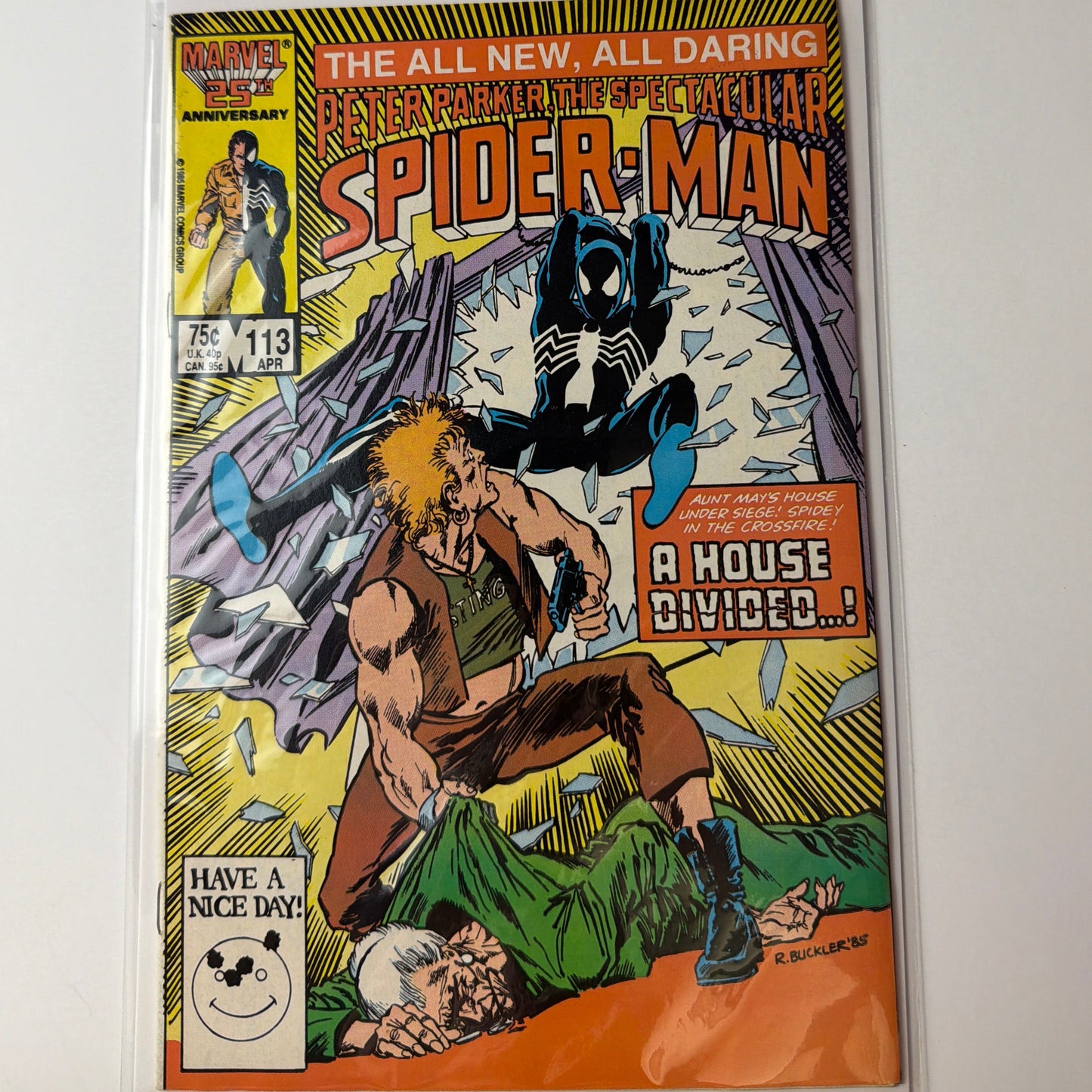 Peter Parker the Spectacular Spider-Man #113