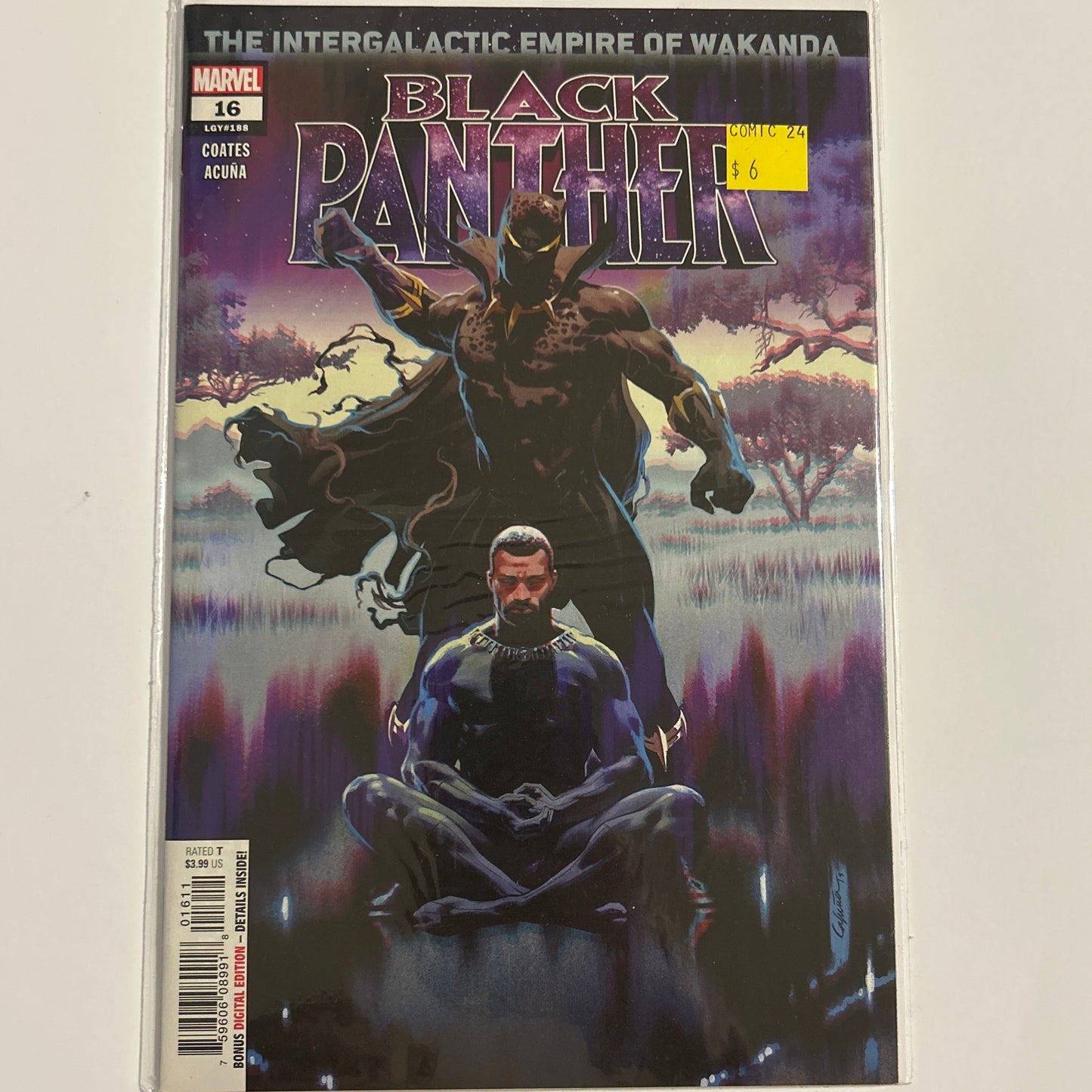 Black Panther #16