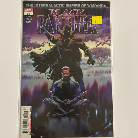 Black Panther #16