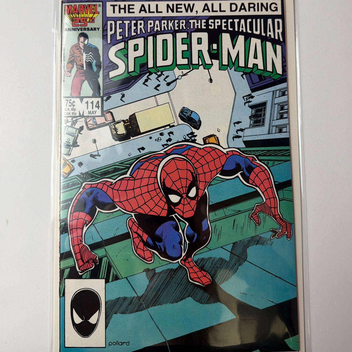 Peter Parker, The Spectacular Spider-Man #114