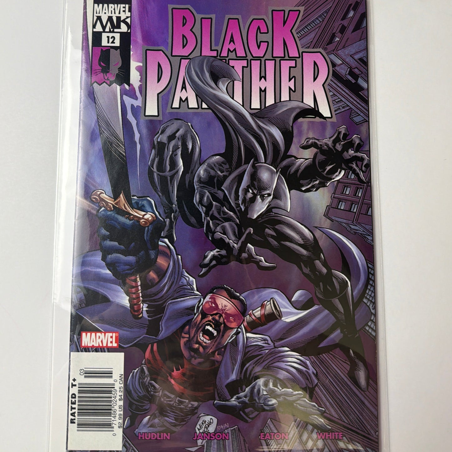 Black Panther #12