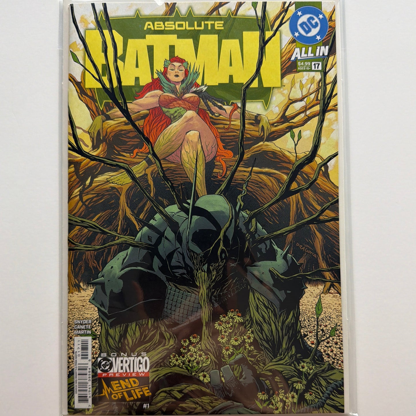 Absolute Batman #17 (NM)