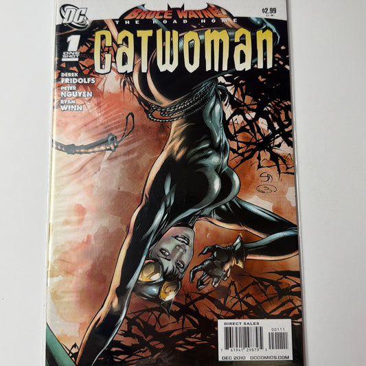 Bruce Wayne the Road Home: Catwoman  #1