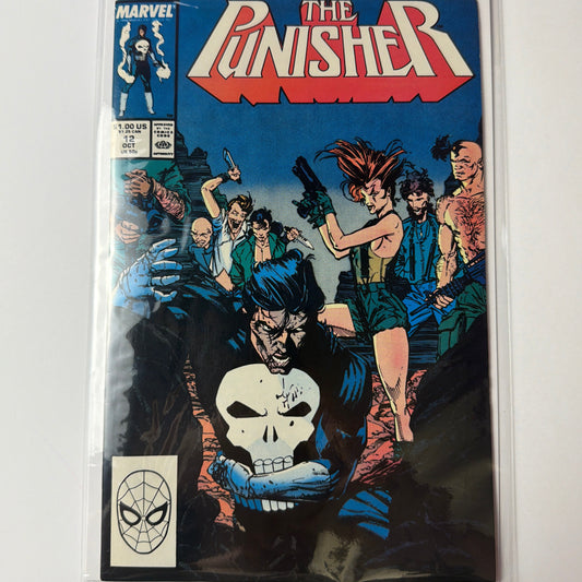 The Punisher #12