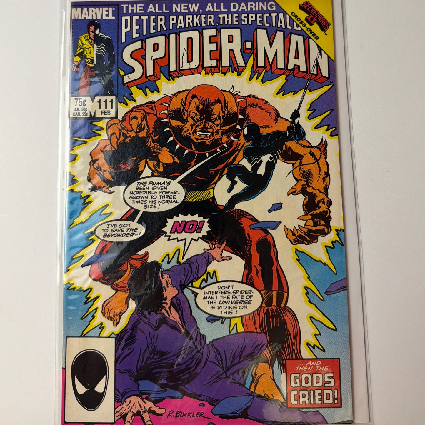 Peter Parker the Spectacular Spider-Man #111