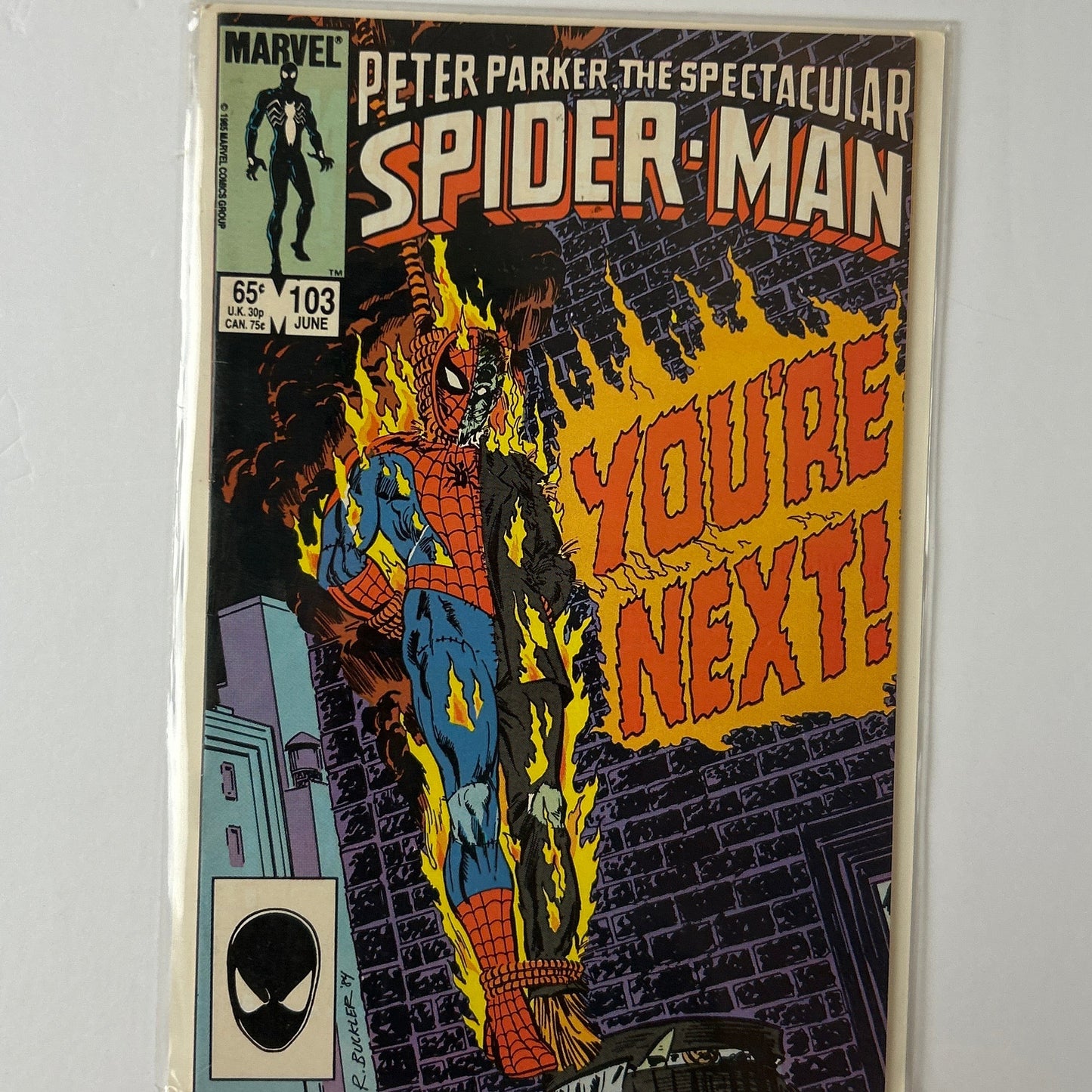 The spectacular Spider-Man #103