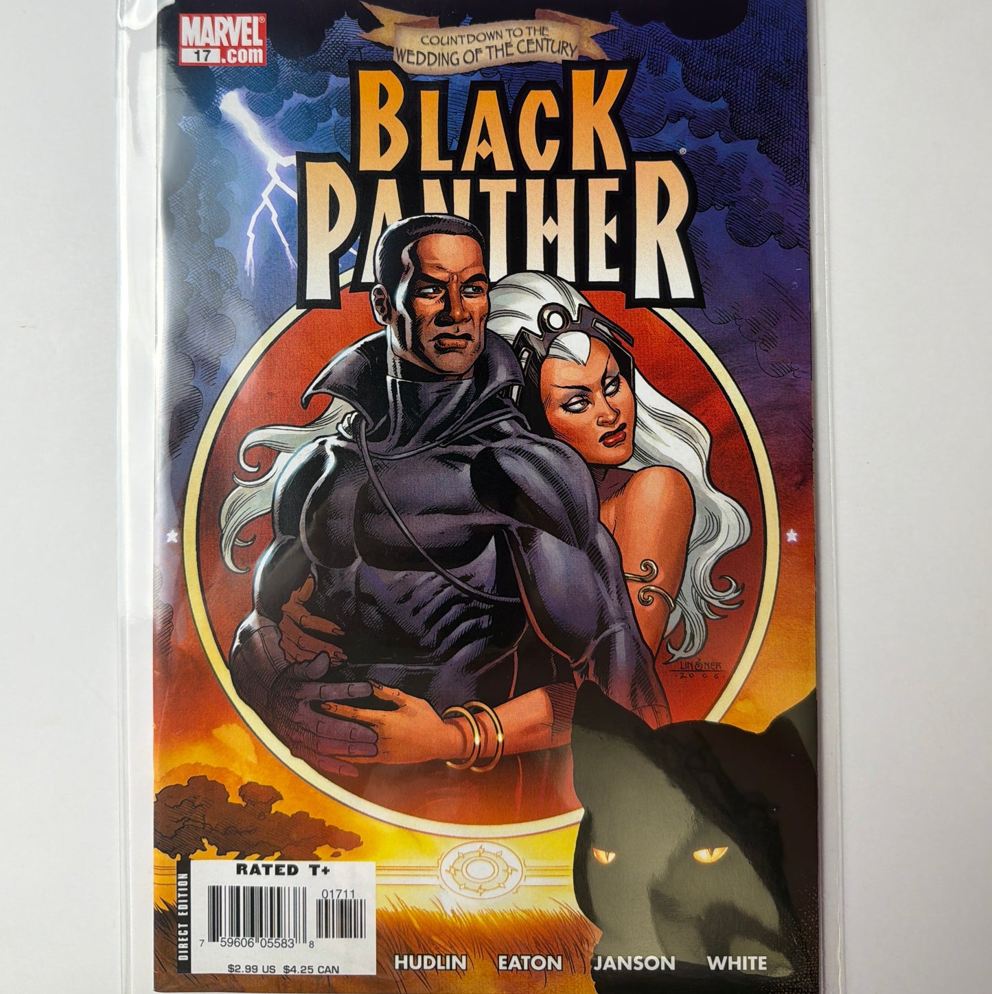 Black Panther #17