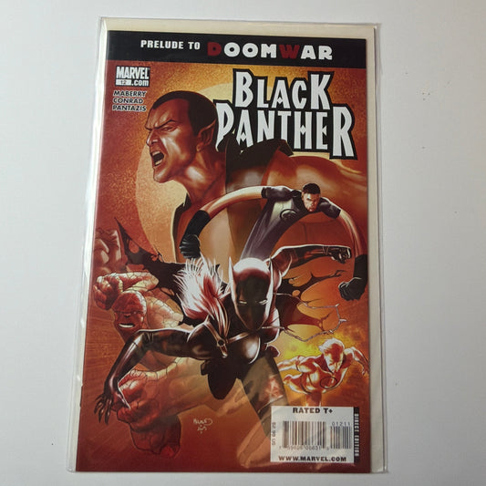 Black Panther #12
