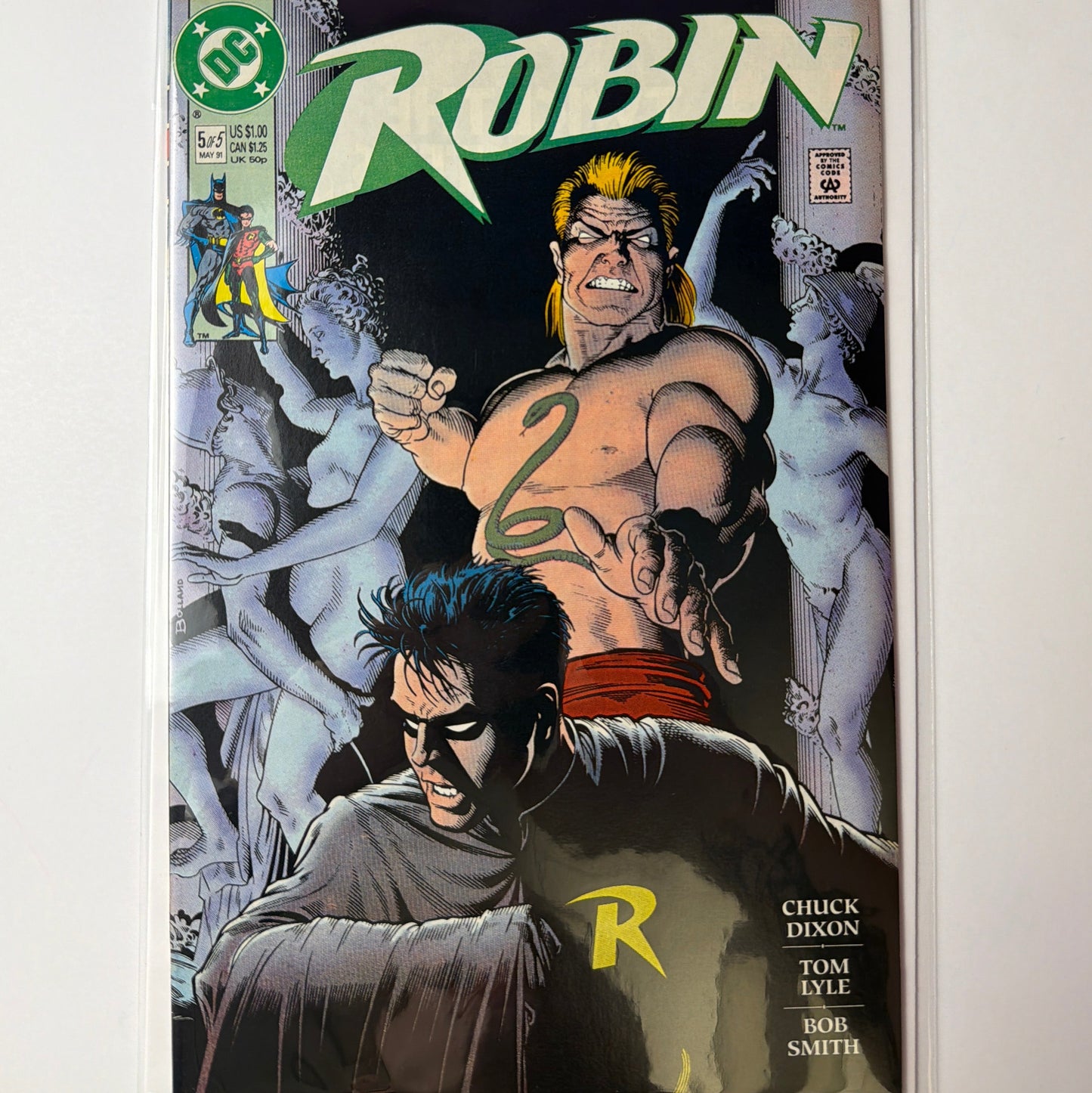 Robin #5