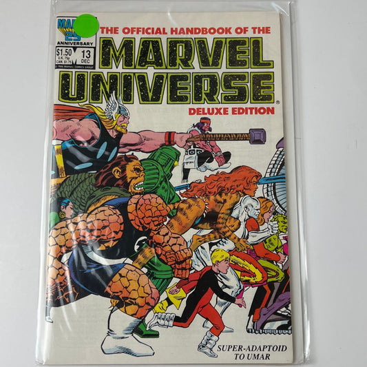 Marvel universe #13