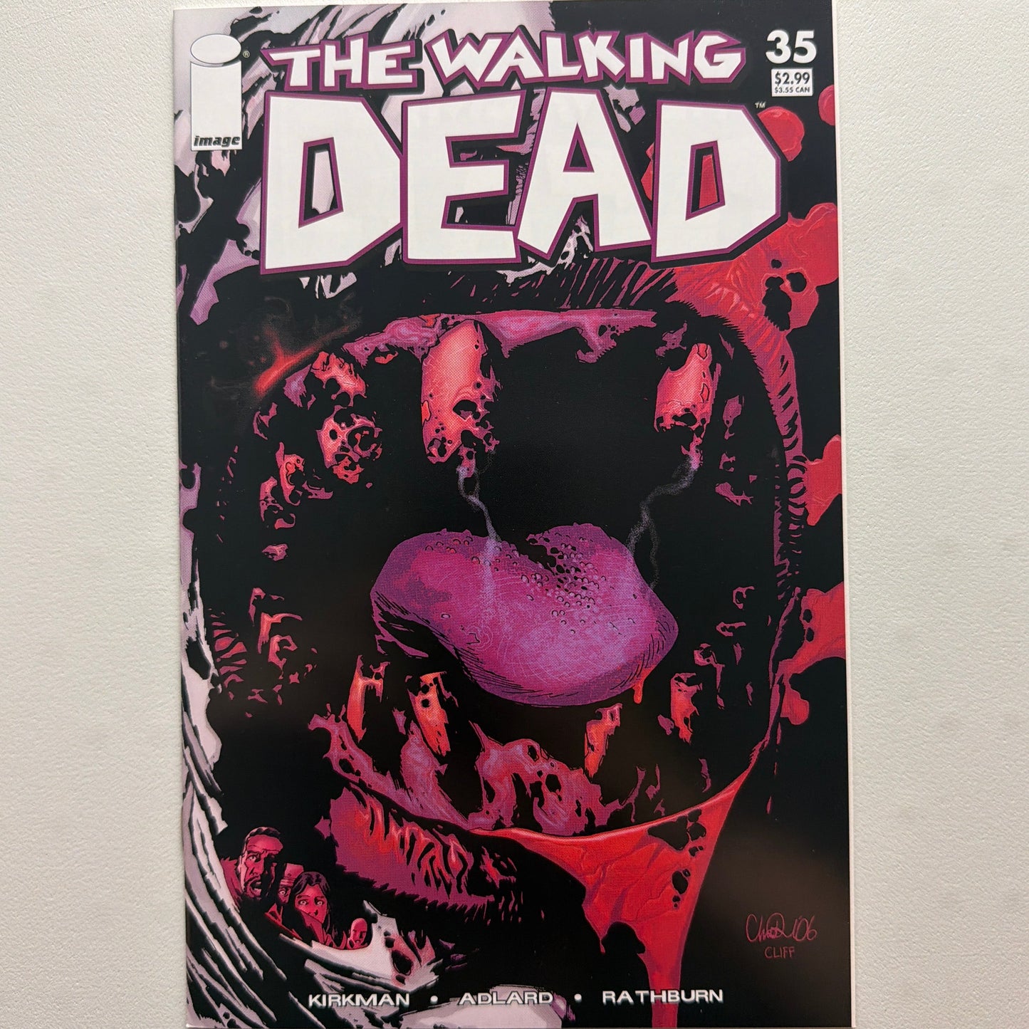 The Walking Dead #35 (NM)