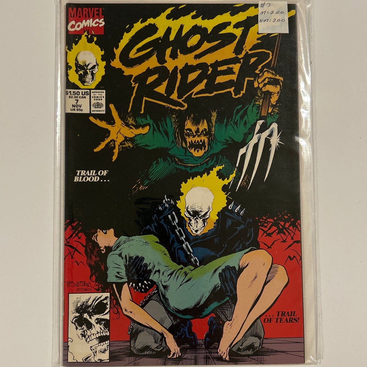 Ghost Rider #7