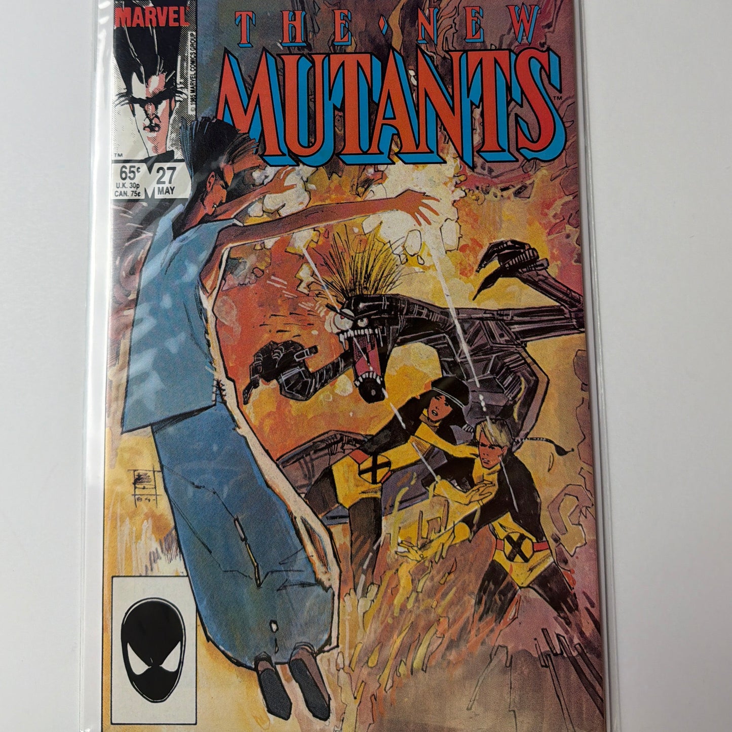The New Mutants #27