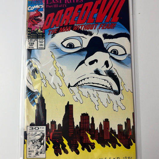 Daredevil The Man Without Fear