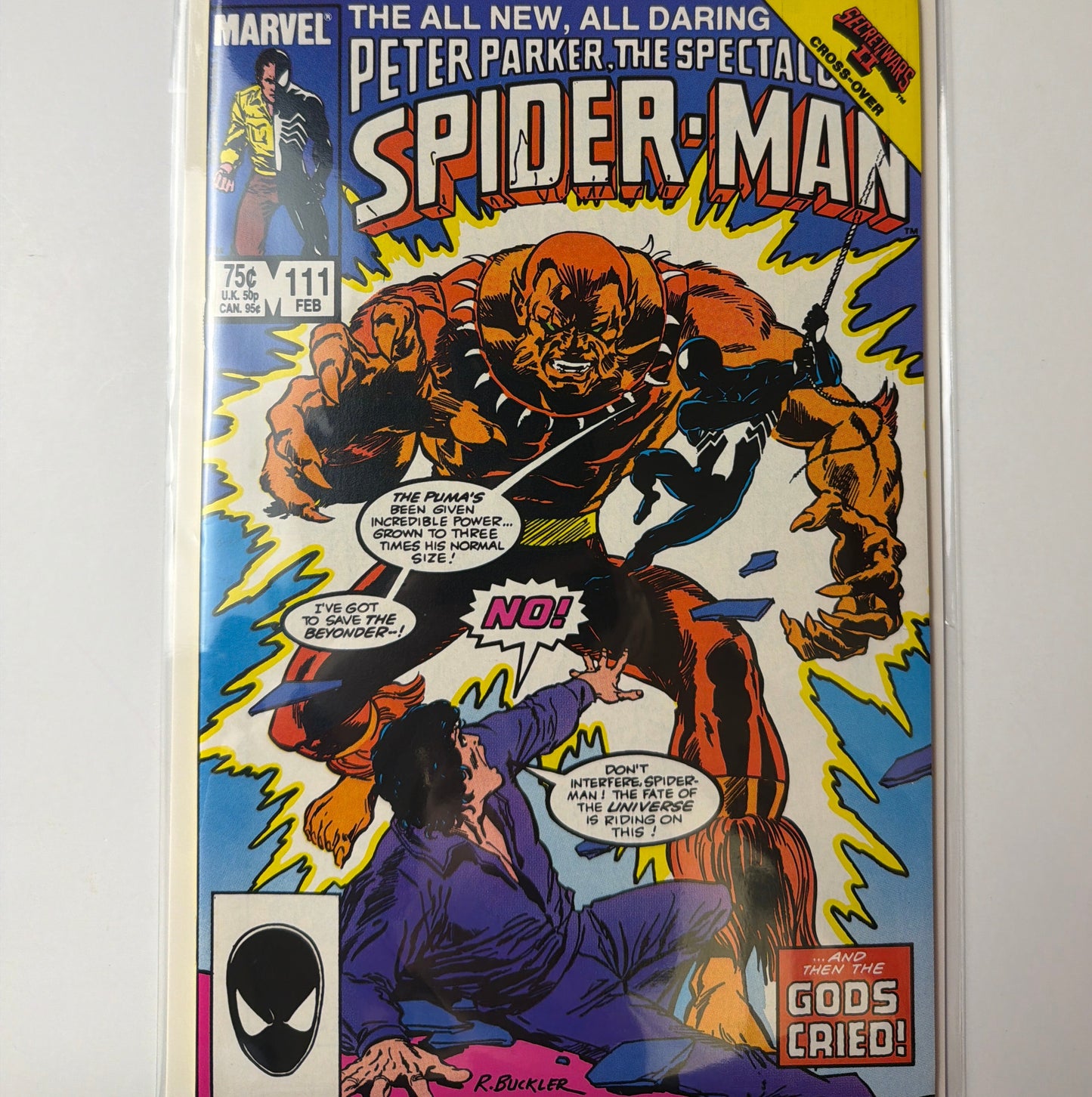 Peter Parker, The Spectacular Spider-Man #111