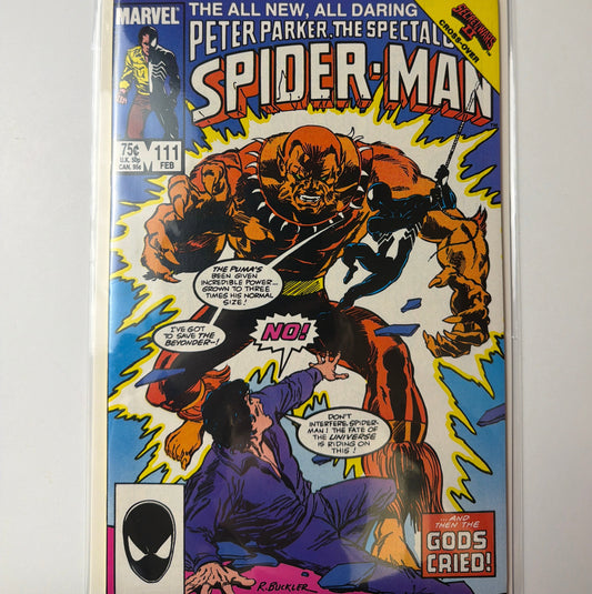 Peter Parker, The Spectacular Spider-Man #111