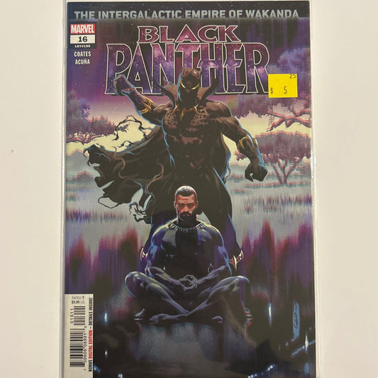Black Panther #16