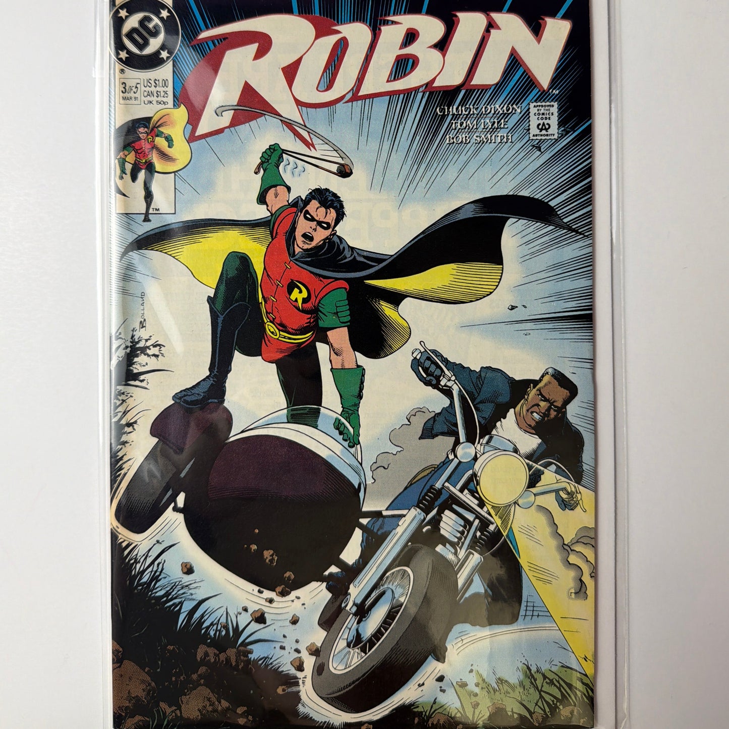 Robin #3