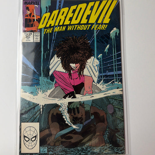 Daredevil The Man Without Fear #256