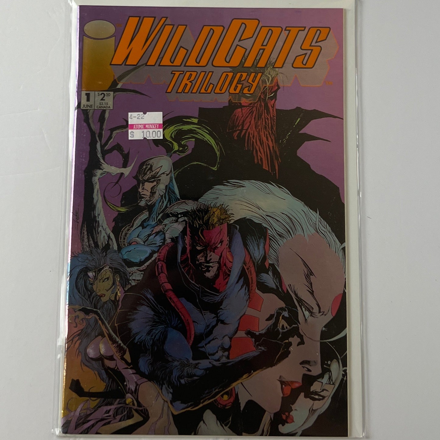 Wildcats trilogy #1