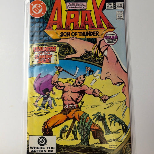 Arak Son of Thunder #20