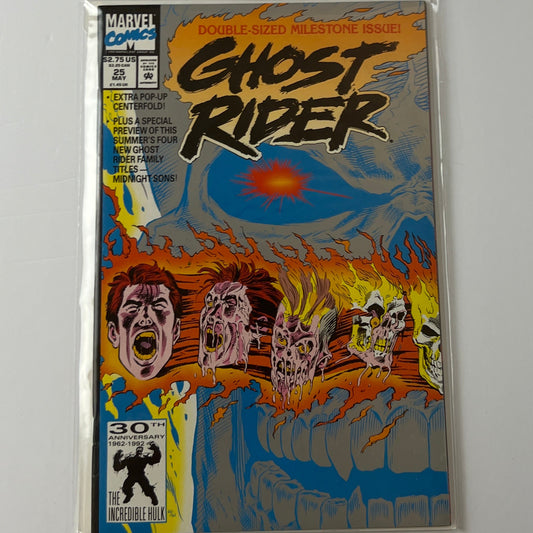 Ghost rider #25