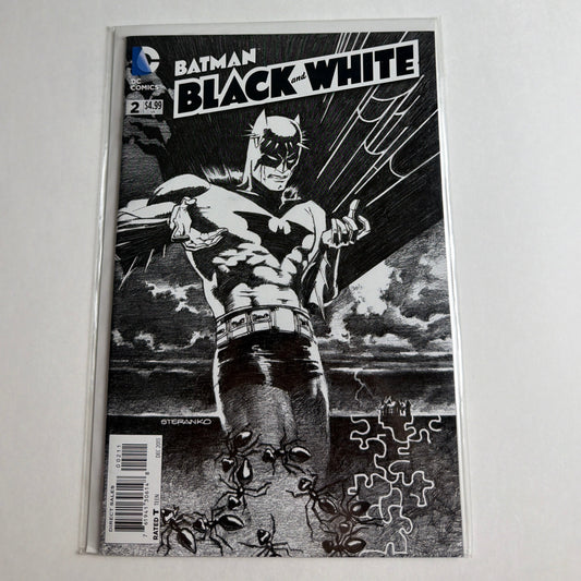 Batman Black and White #2