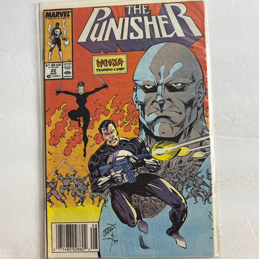 The Punisher #22