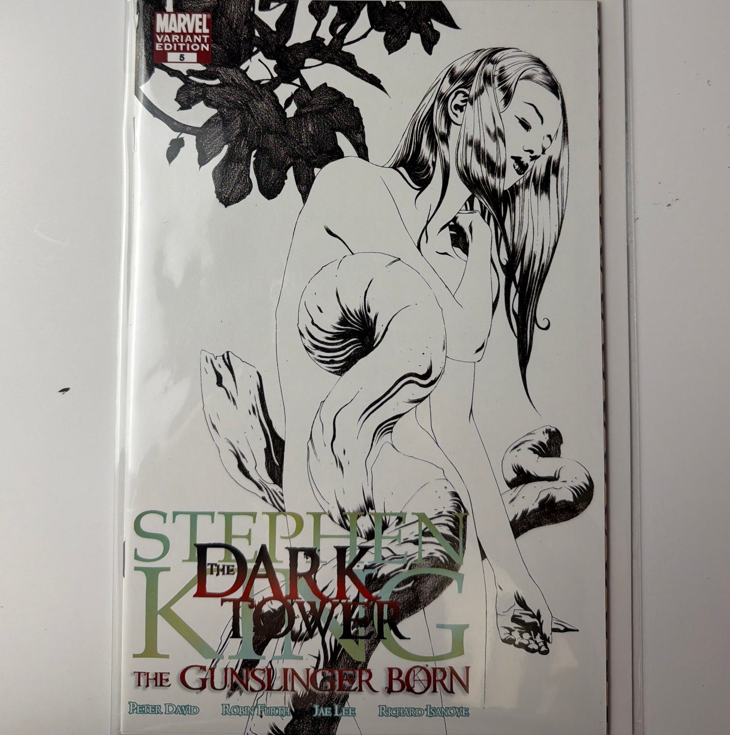 The Dark Tower #5