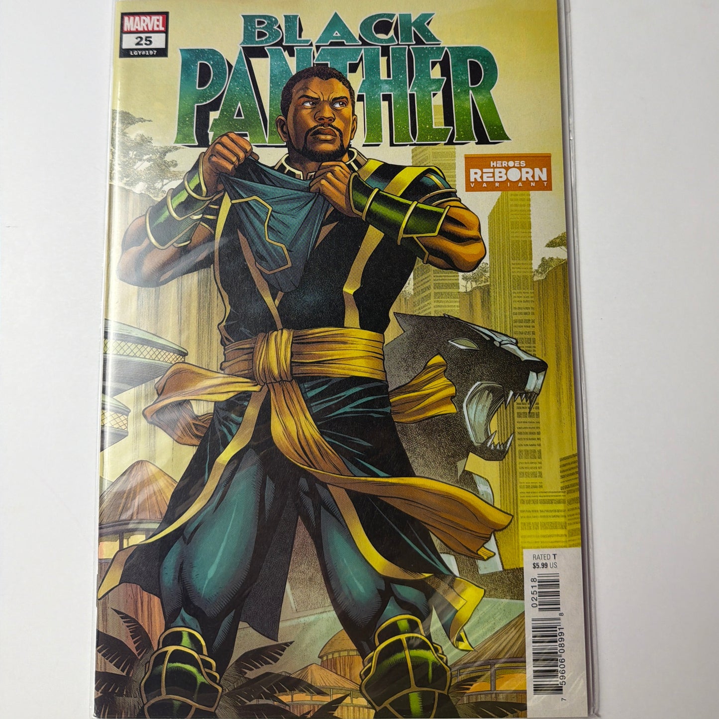 Black Panther #25