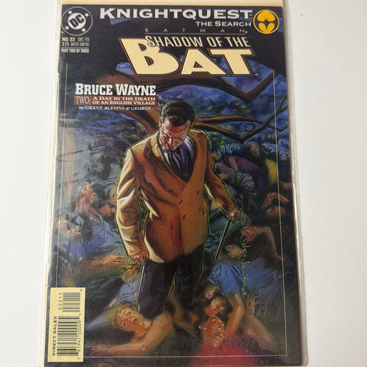 Batman Shadow of the Bat: Bruce Wayne #22