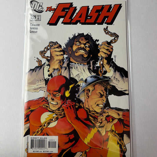 The Flash #229